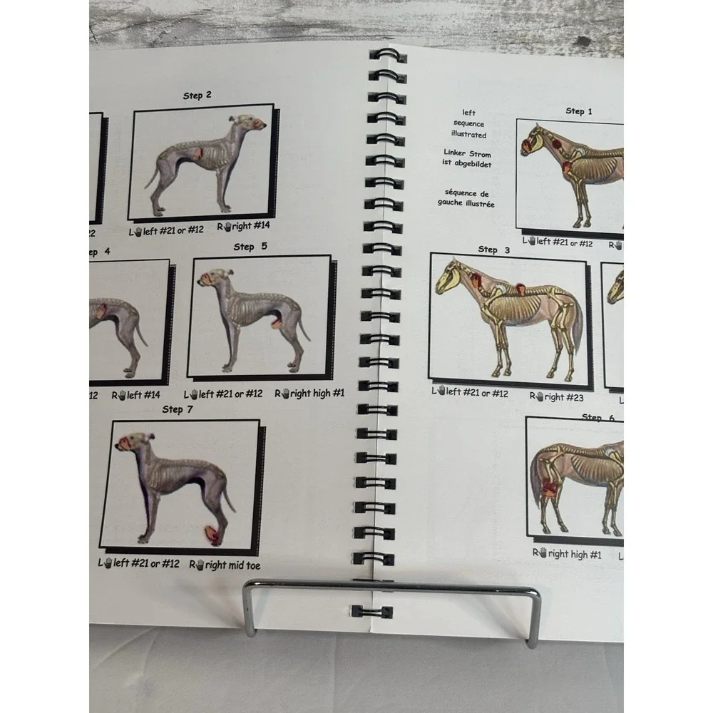 JIN SHIN JYUTSU FOR YOUR ANIMAL COMPANION BY Adele Leas SPIRAL_BOUND